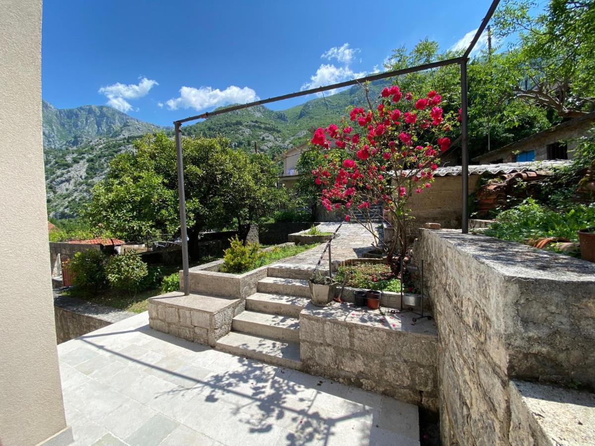 Apartments Mezini 11 Kotor Eksteriør billede